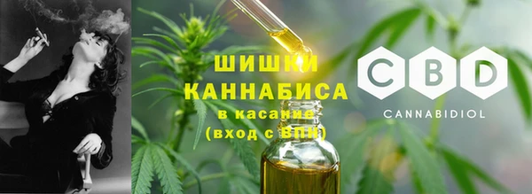 дживик Баксан