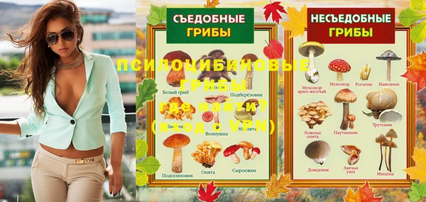 дживик Баксан