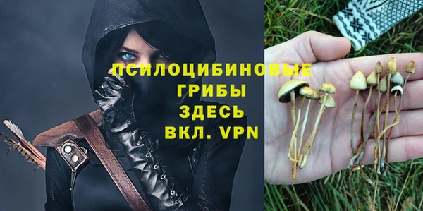 стаф Балабаново