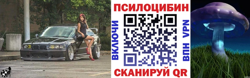 где продают   Бирюсинск  Галлюциногенные грибы мицелий 